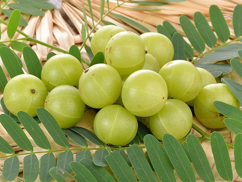 Amla